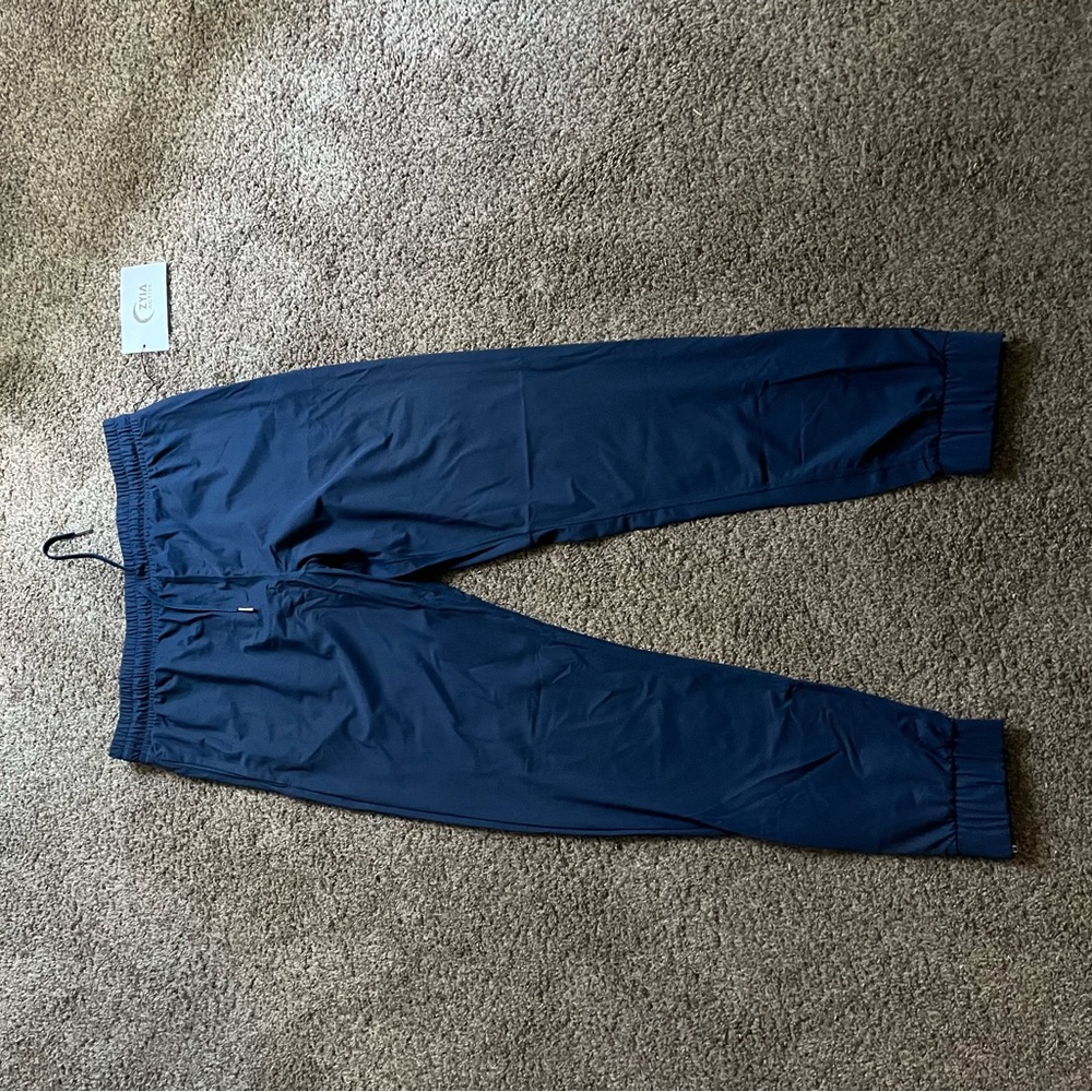 Zyia active jogger pants